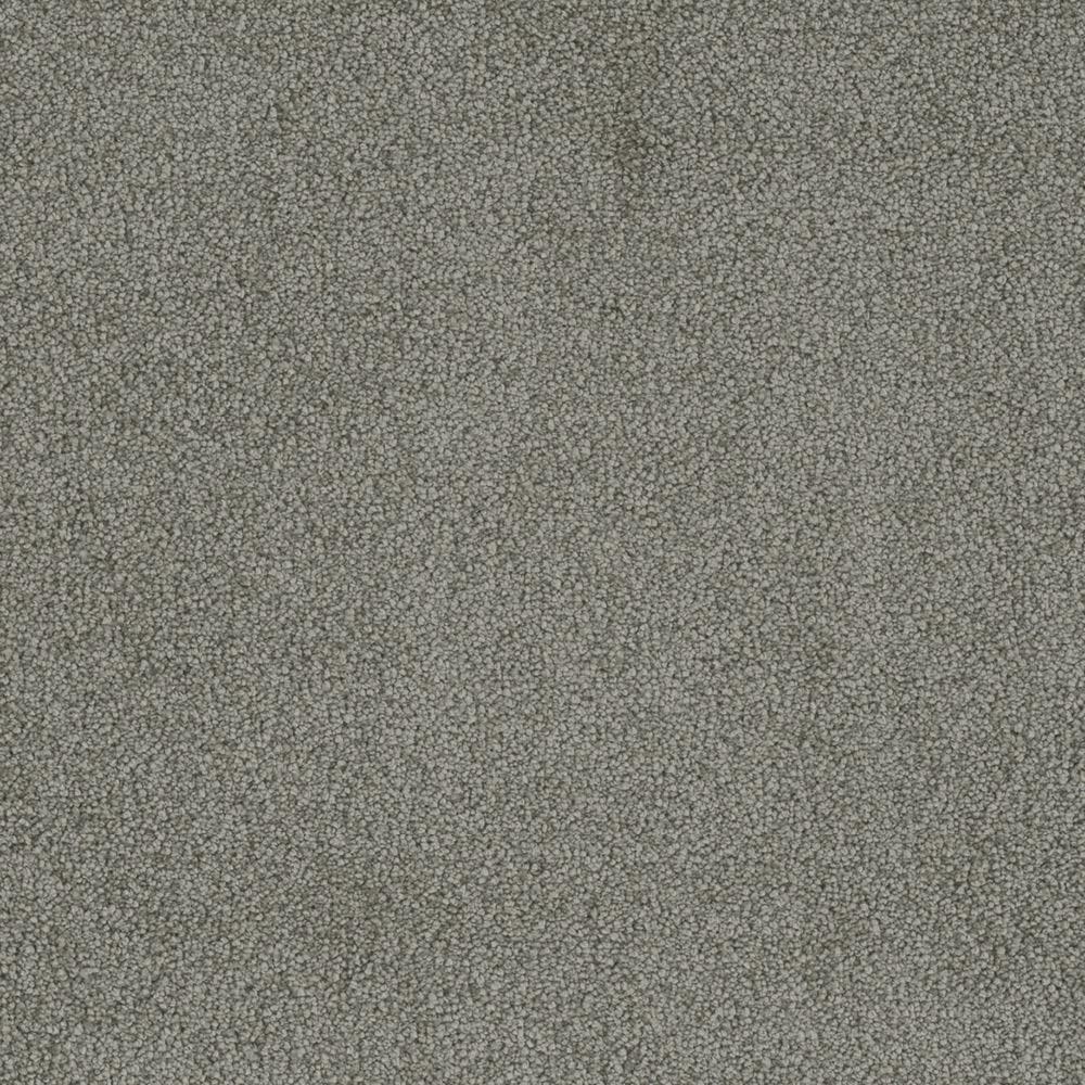 Home Decorators Collection Carpet Sample Sweet Dreams Ii Color Platinum Saxony 8 In X Home Decorators Collection Carpet Sample Sweet Dreams Ii Color Platinum Saxony 8 In X