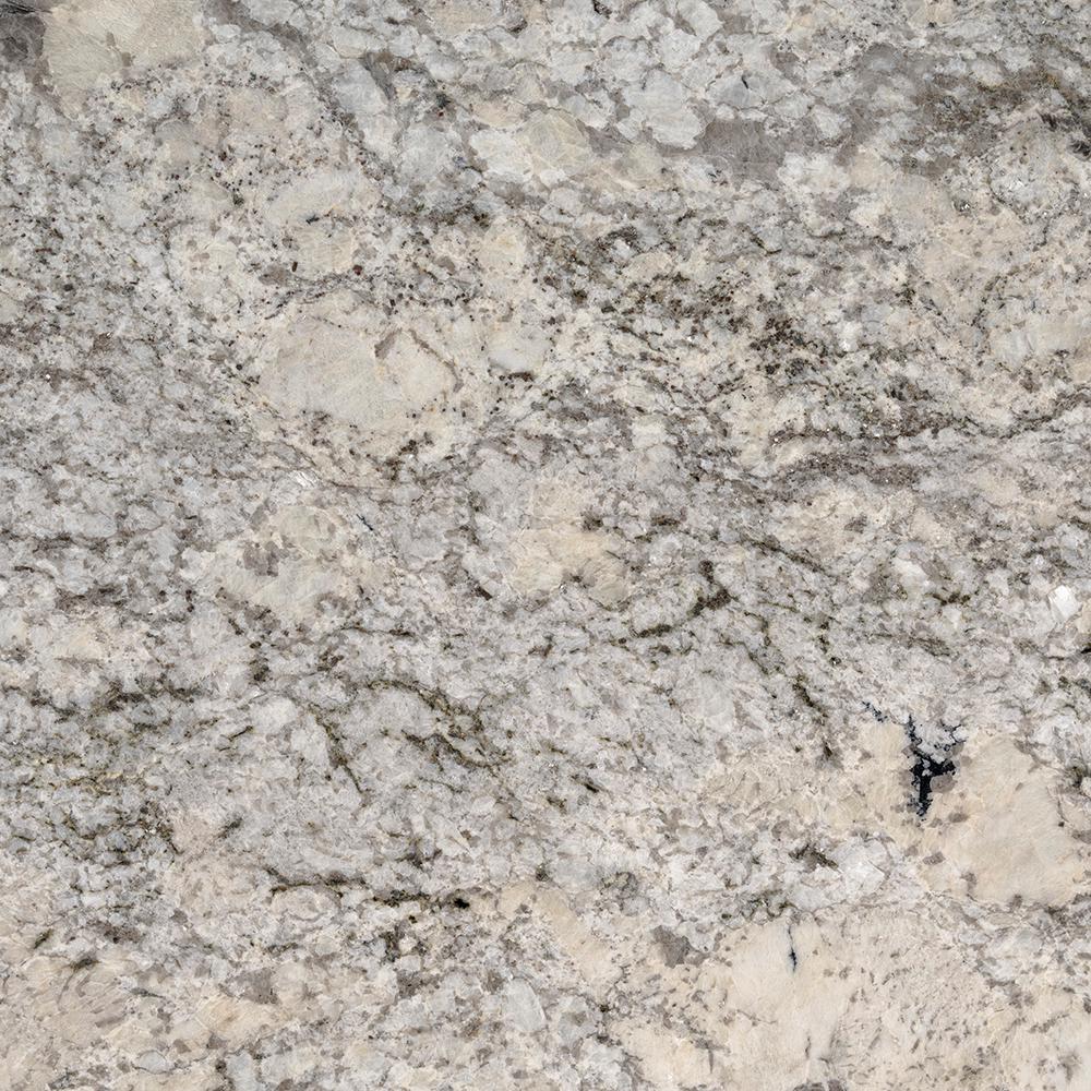 Msi 3 In X 3 In Granite Countertop Sample In Alpine Valley P Rsl