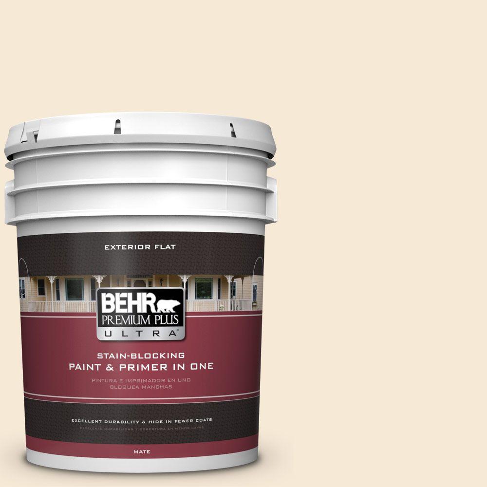 BEHR Premium Plus Ultra 5gal. BXC14 Water Chestnut Flat Exterior