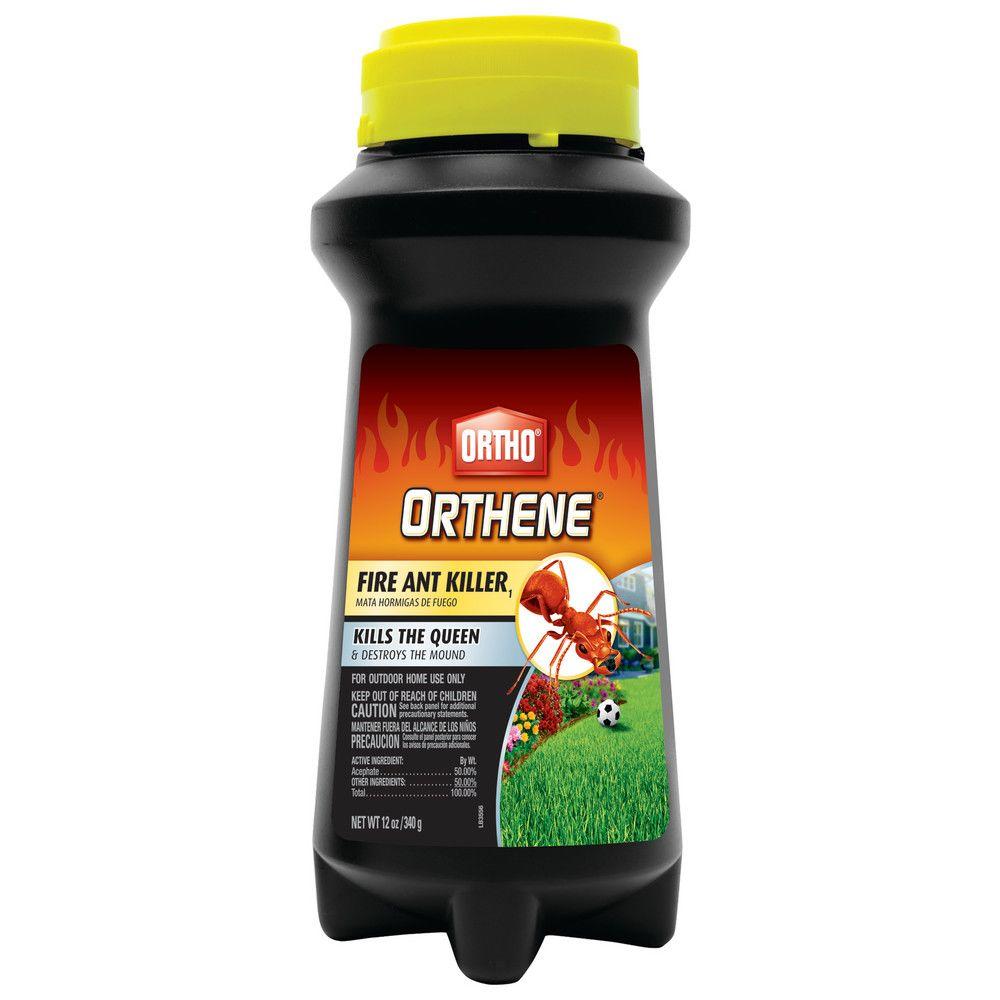 ortho-lawn-insect-pest-control-0282210-64_1000.jpg