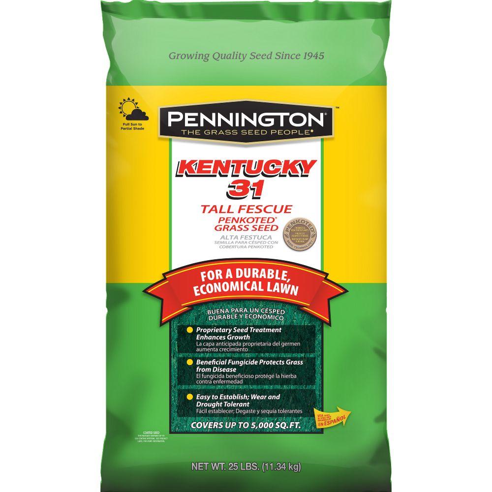 Pennington Kentucky 31 25 lb. Tall Fescue Penkoted Grass Seed100516055 The Home Depot