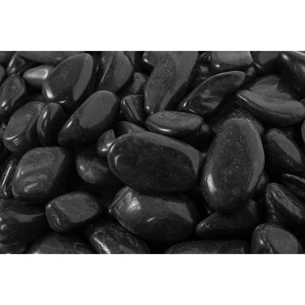 Rain Forest 2 In To 3 In 20 Lb Large Black Super Polished