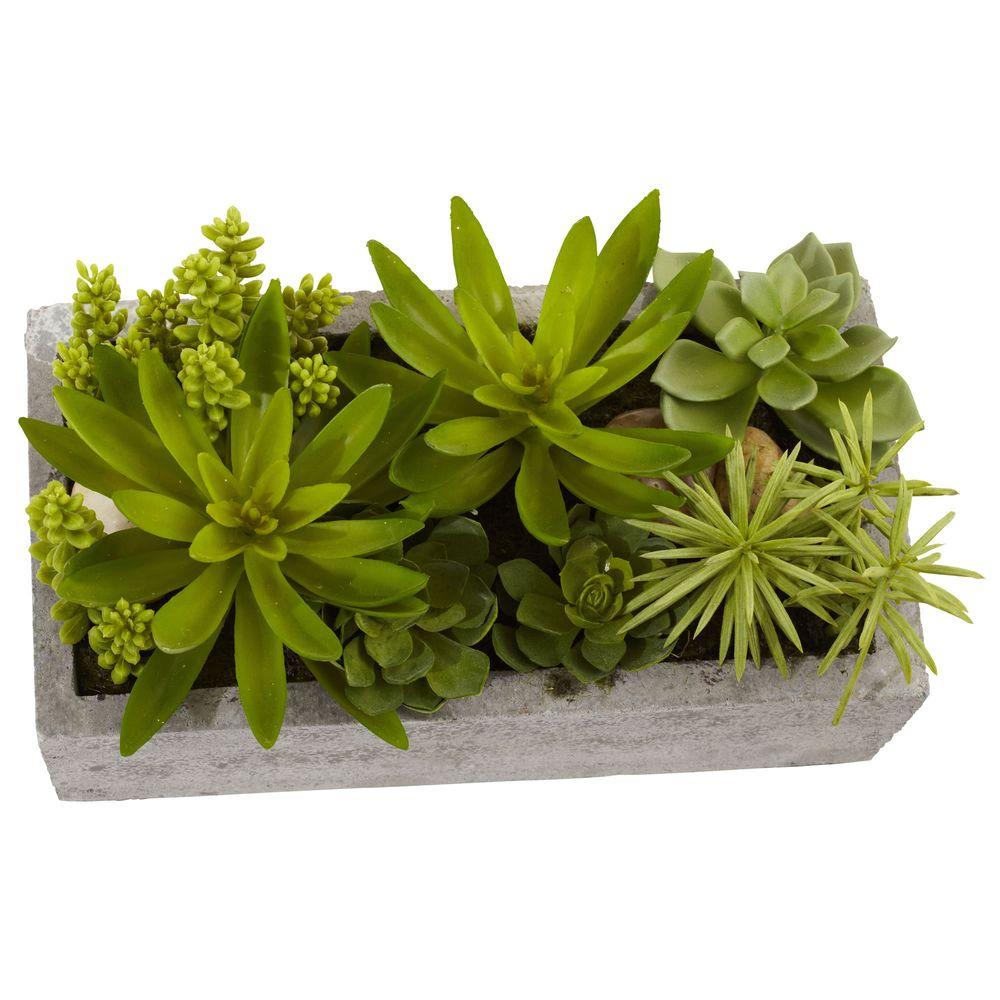 Nearly Natural Succulent Garden With Concrete Planter 4841 The Home Depot