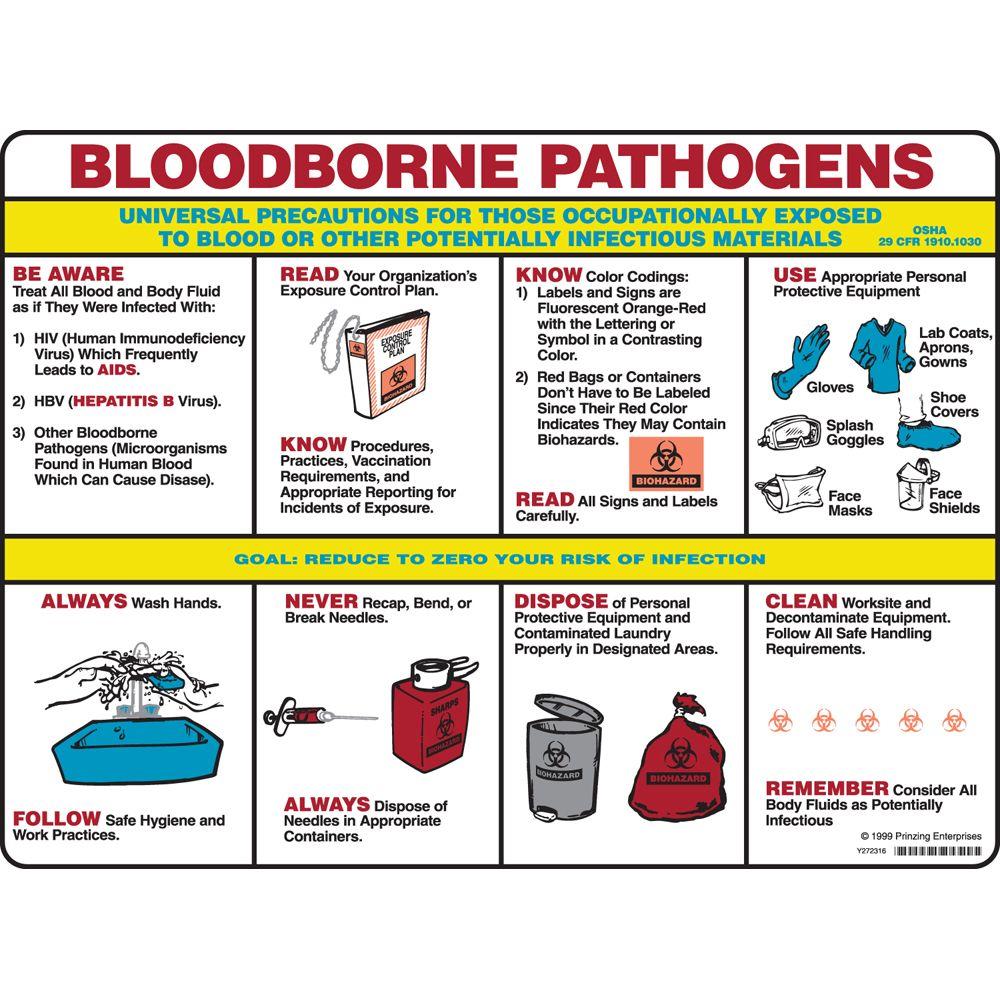 Brady 18 in. x 24 in. Laminated Paper BloodBorne Pathogens Poster