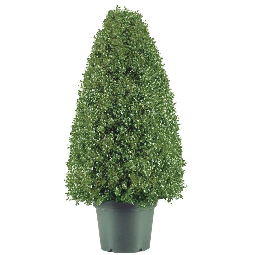 National Tree Company 30 in. Boxwood Artificial Tree in