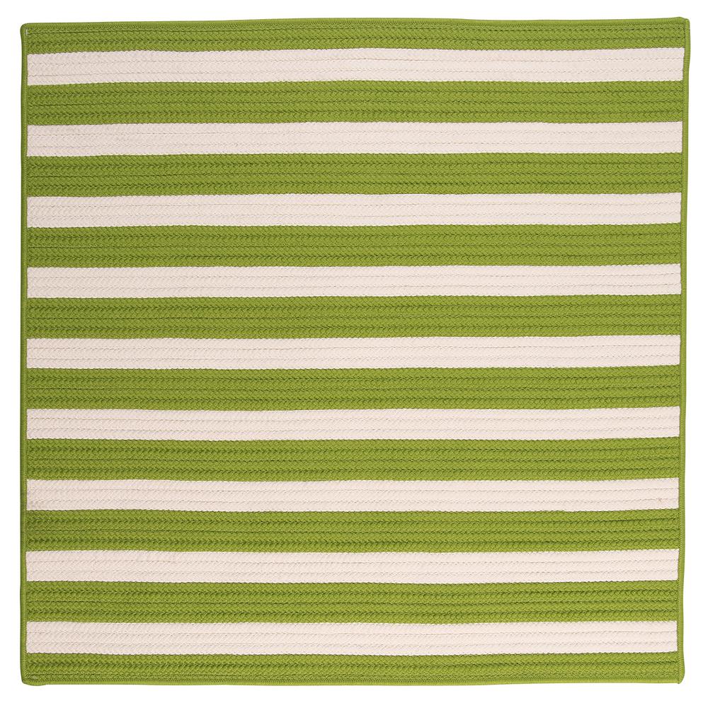 Home Decorators Collection Baxter Lime 4 Ft X 4 Ft Square Indoor