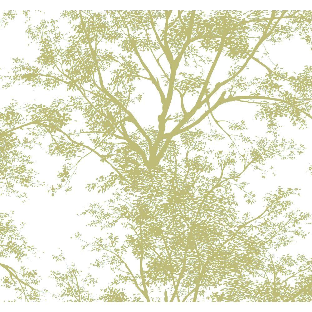 York Wallcoverings Tree Silhouette Wallpaper-AP7504 - The ...