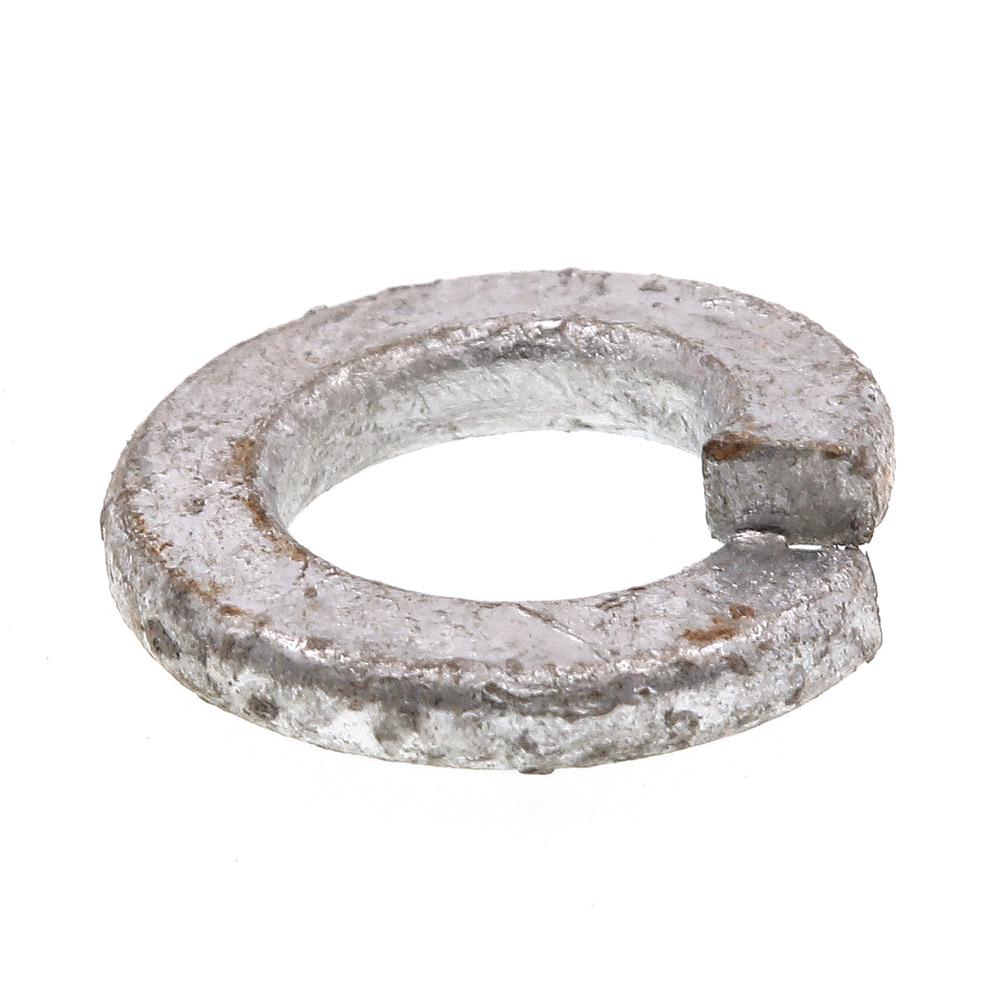 PrimeLine 5/16 in. Hot Dip Galvanized Steel Medium Split Lock Washers
