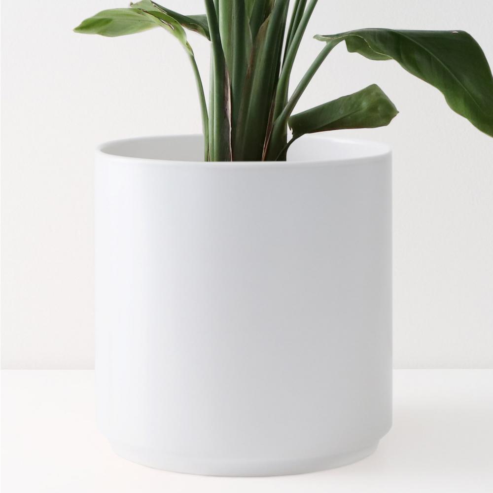Ceramic Large Plant Pots Planters The Home Depot