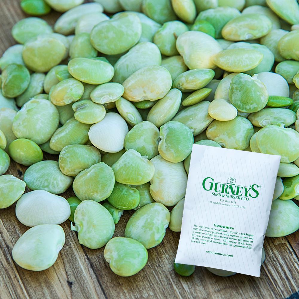 Gurney S Lima Bean Fordhook 242 2 Oz Packet 14234 The Home Depot Gurney S Lima Bean Fordhook 242 2 Oz Packet