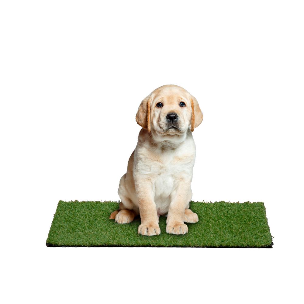 what happens if a dog urinates on artificial grass