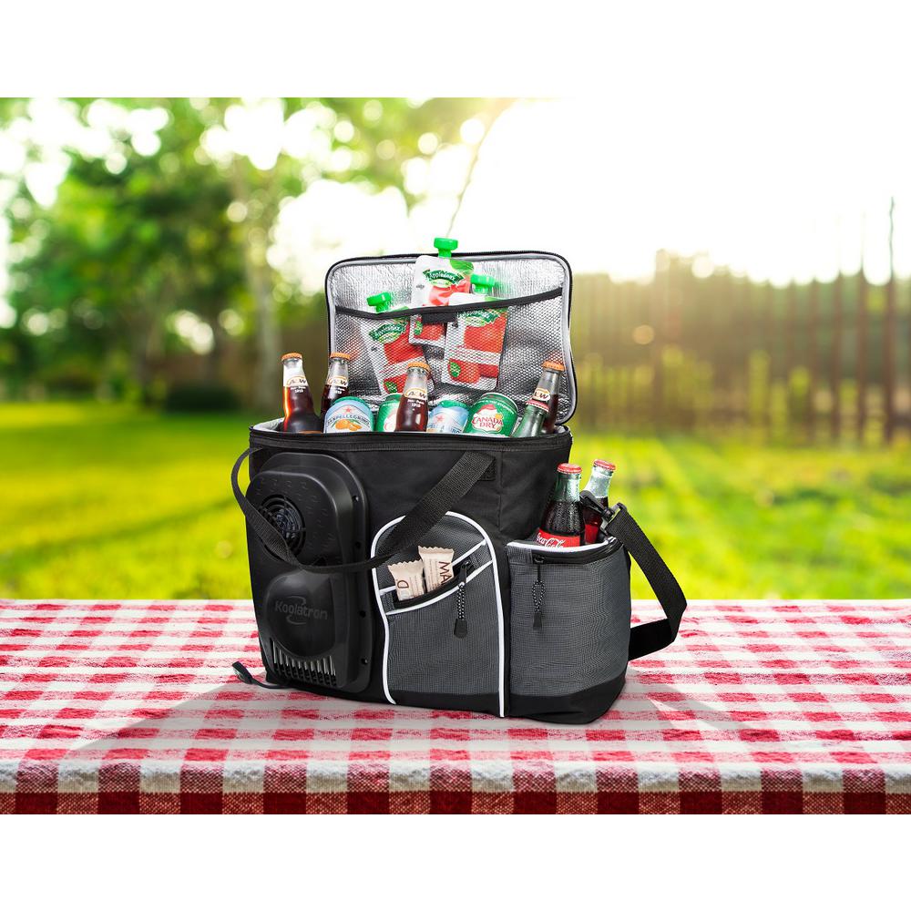 thermoelectric cooler bag