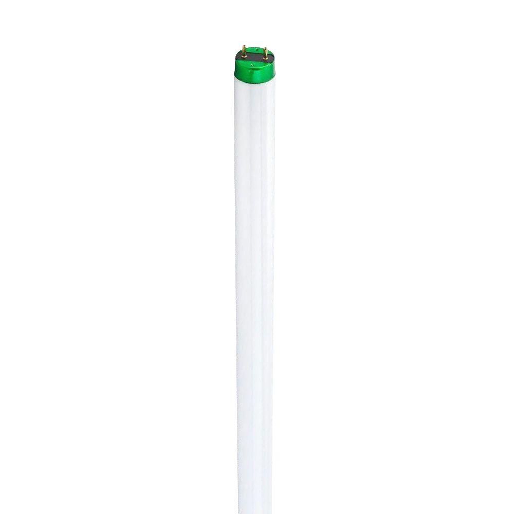 Philips 4 Ft T8 28 Watt Natural Light 5000K Alto Energy Advantage   Philips Fluorescent Bulbs 424218 64 1000 