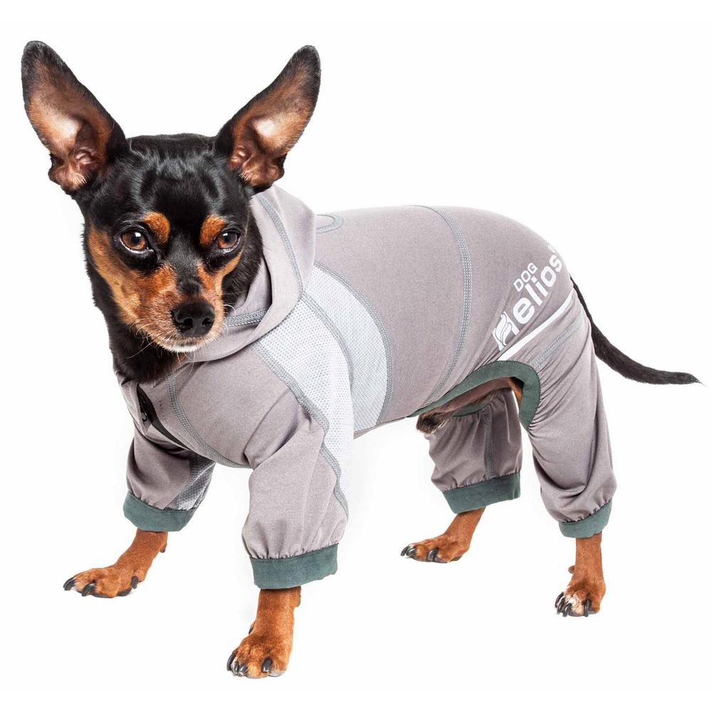 dog hoodie