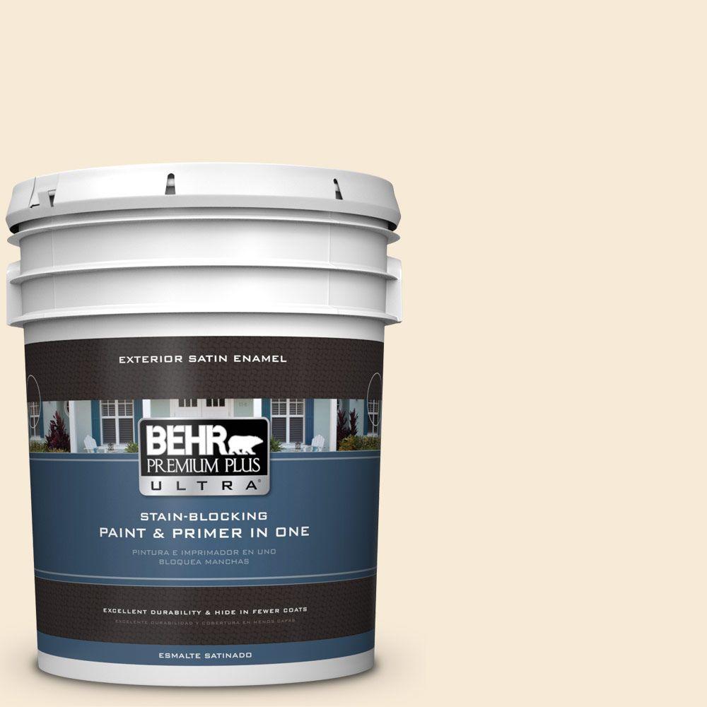 BEHR Premium Plus Ultra Home Decorators Collection 5gal