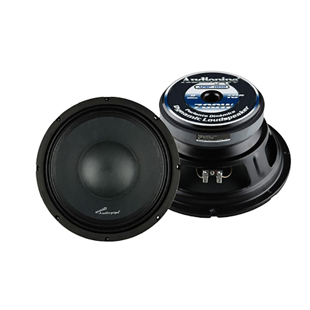 audiopipe 10 inch voice speakers