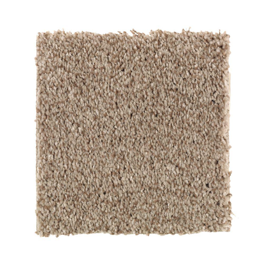  Home  Decorators  Collection  Carpet Sample Gemini  II  Color 