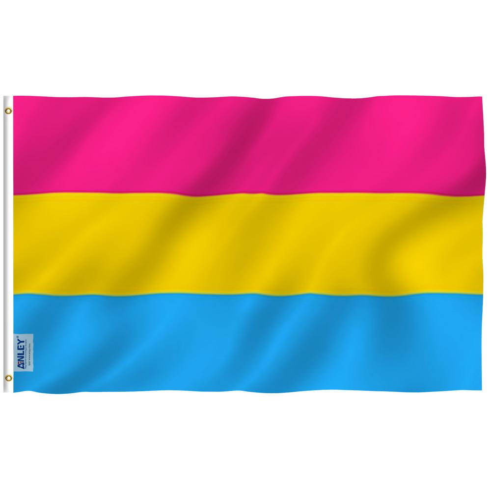 Anley Fly Breeze 3 Ft X 5 Ft Polyester Pansexual Pride Flag 2