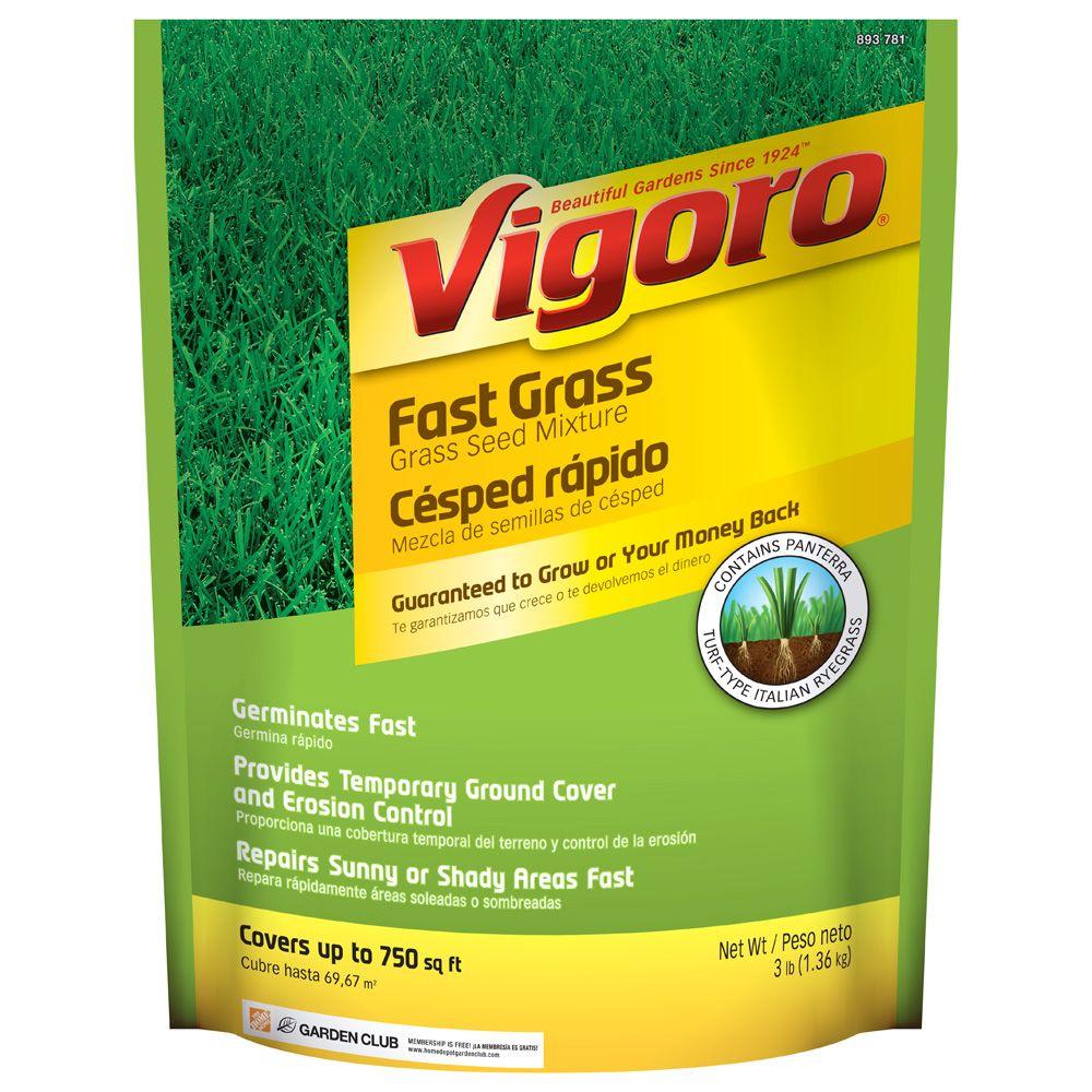 Vigoro 3 Lb Fast Grass Lawn Seed Mix 25102 The Home Depot 