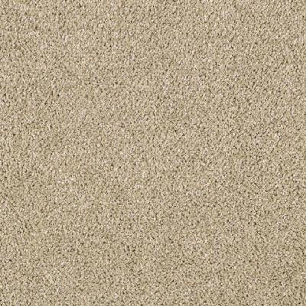stepping stone lifeproof carpet samples mo 29910835 64_1000