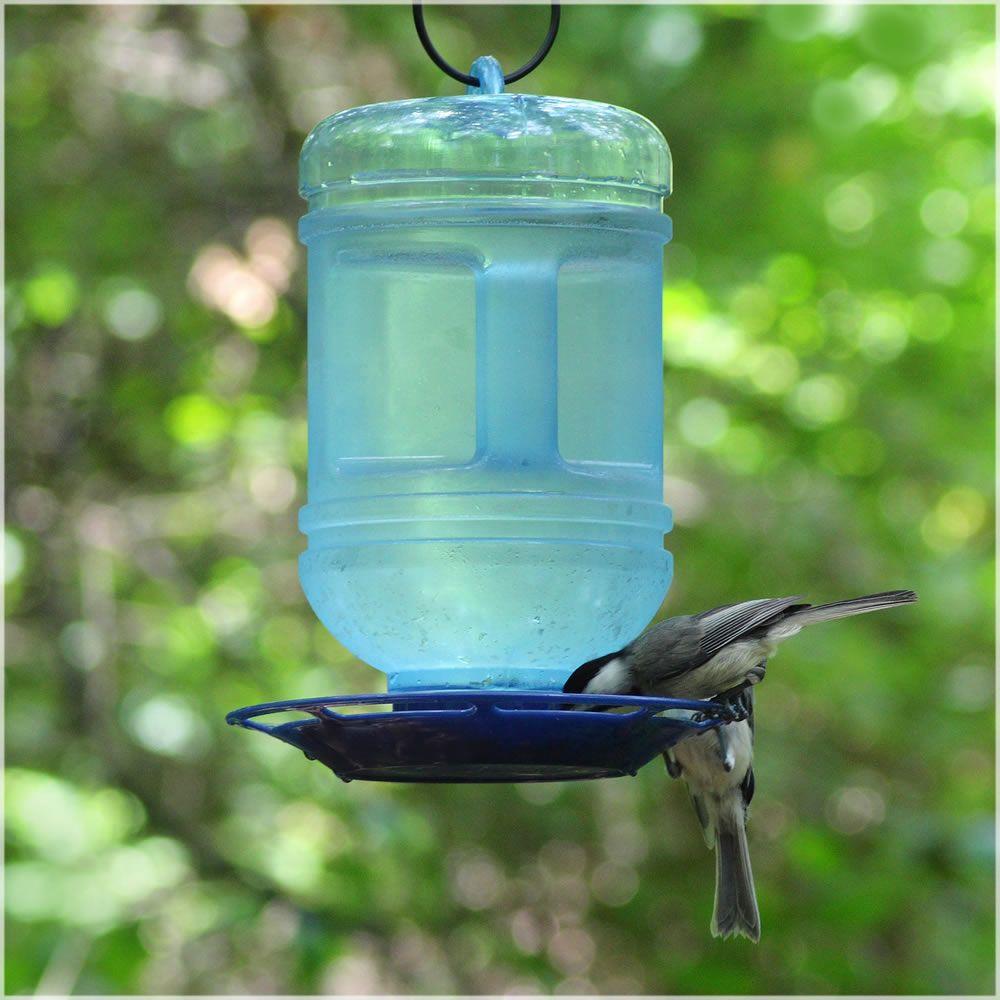 WATER COOLER BIRD WATERER Wild Birds Variety Hanging Drink Bottle Feeder Tray eBay