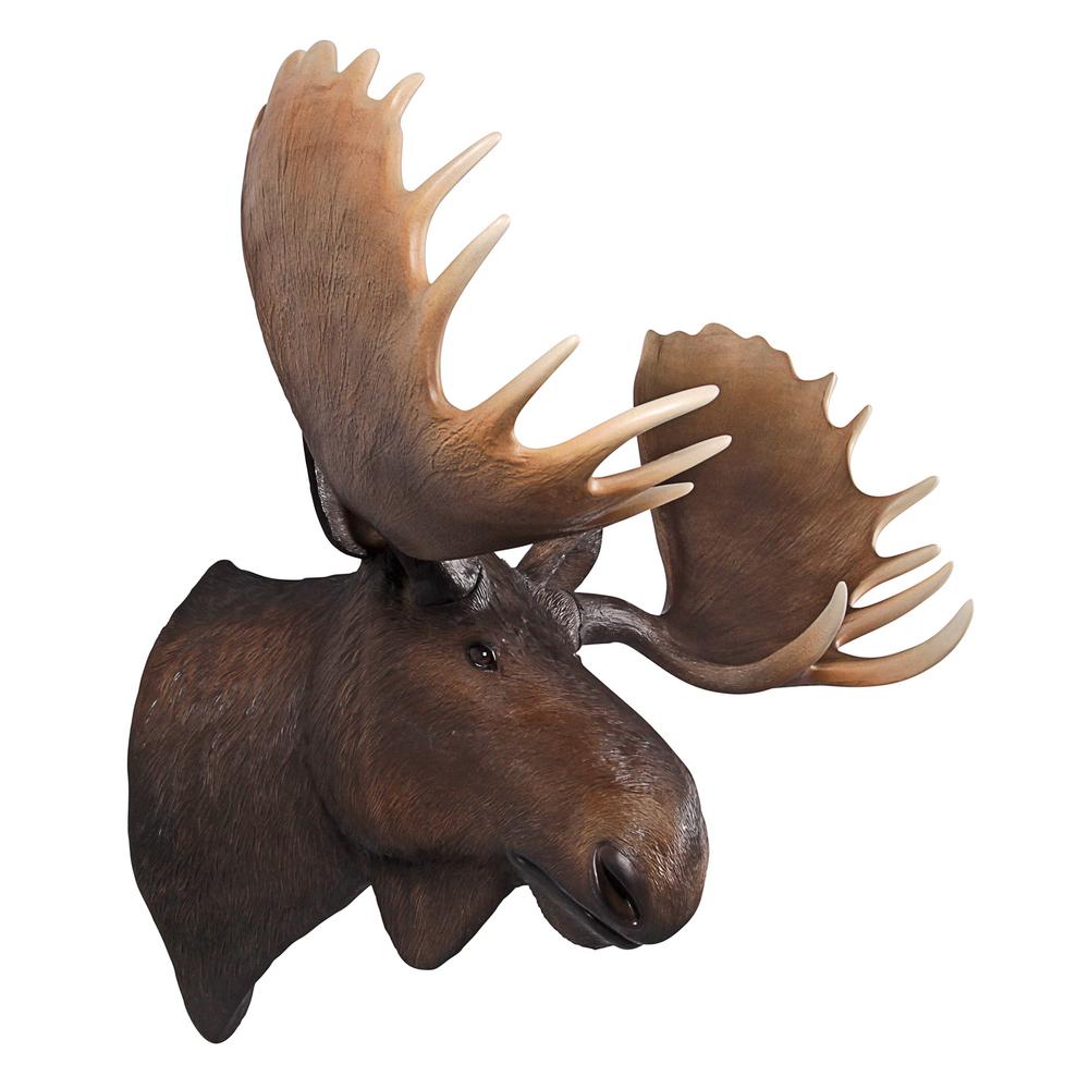 Design Toscano 40 5 In H North American Majestic Moose Trophy Head Wall Sculpture Design Toscano 40 5 In H North American Majestic Moose Trophy Head Wall Sculpture