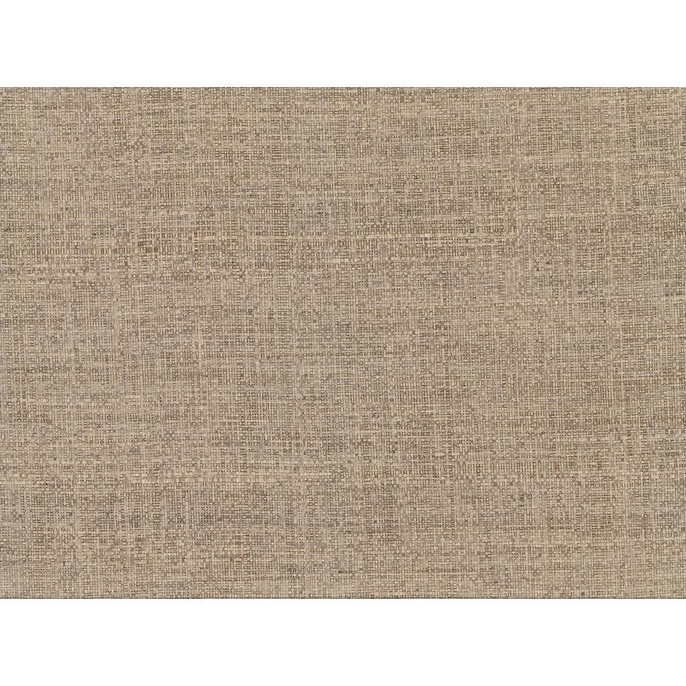 James 8 in. x 10 in. Mindoro Taupe Grass Cloth Wallpaper Sample