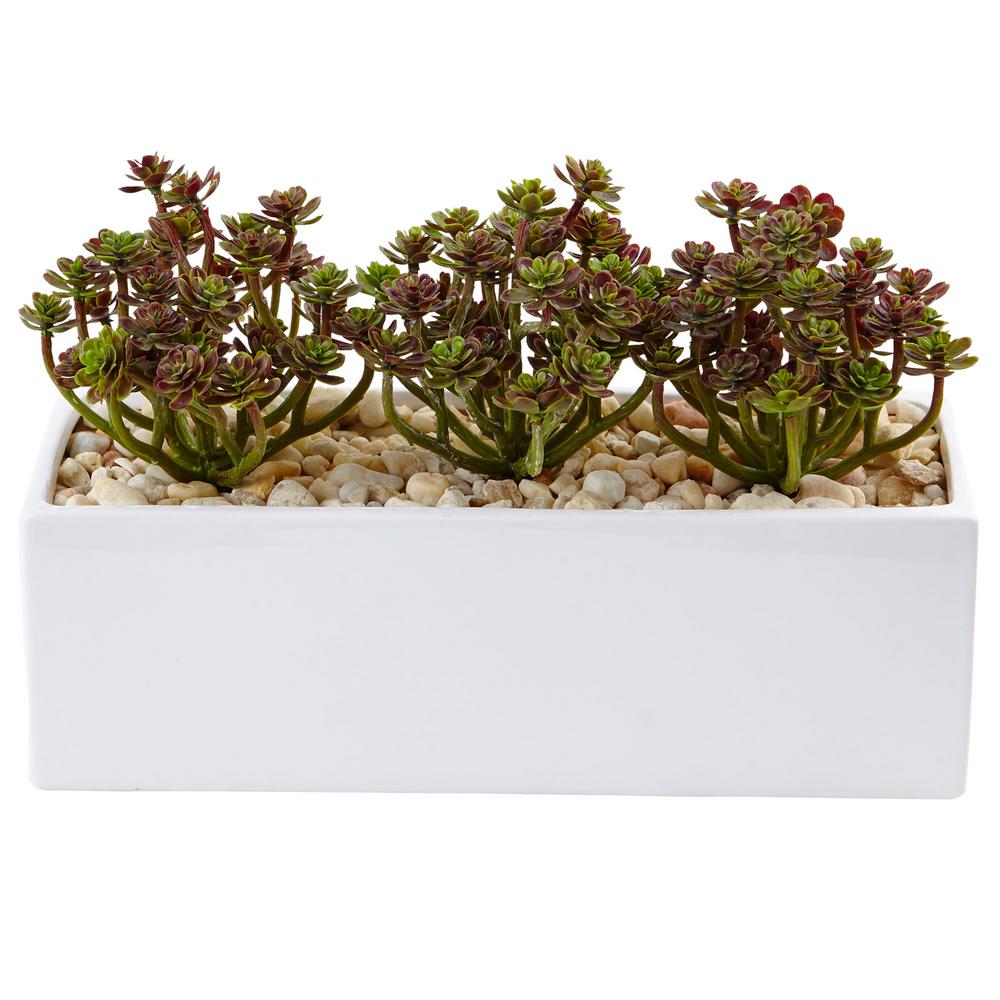 Nearly Natural Indoor 7.75 in. H Sedum Artificial Arrangement in ... Nearly Natural Indoor 7.75 in. H Sedum Artificial Arrangement in ...