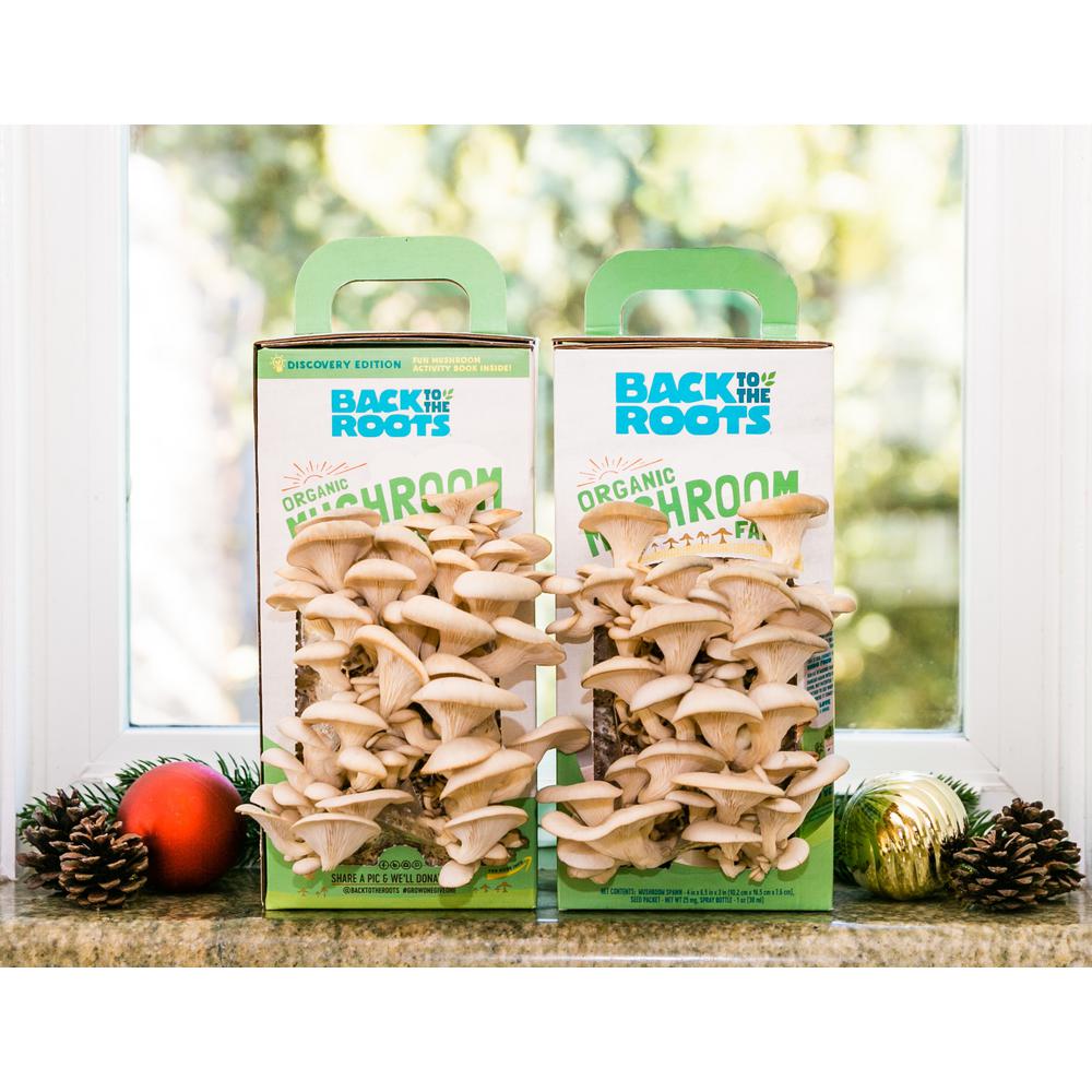 Vegetable Plants Edible Garden The Home Depot Organic Mushroom Grow Kit Discovery Edition 2 Pack