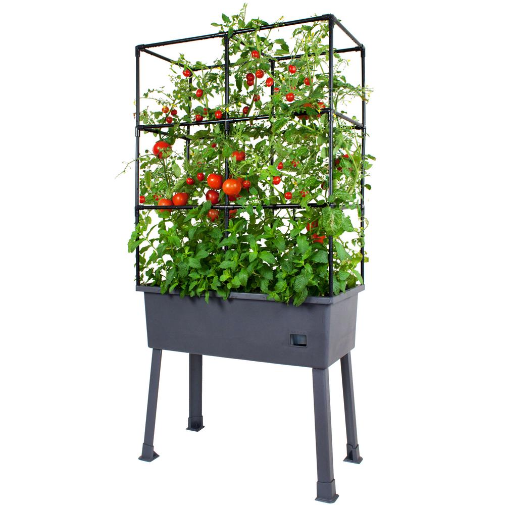 Frame It All Patio Ideas - 15.75 in. x 31.5 in. x 63 in. Self-Watering