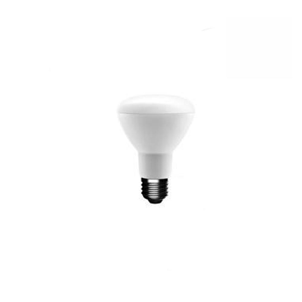 Light Bulb Brightness The Home Depot