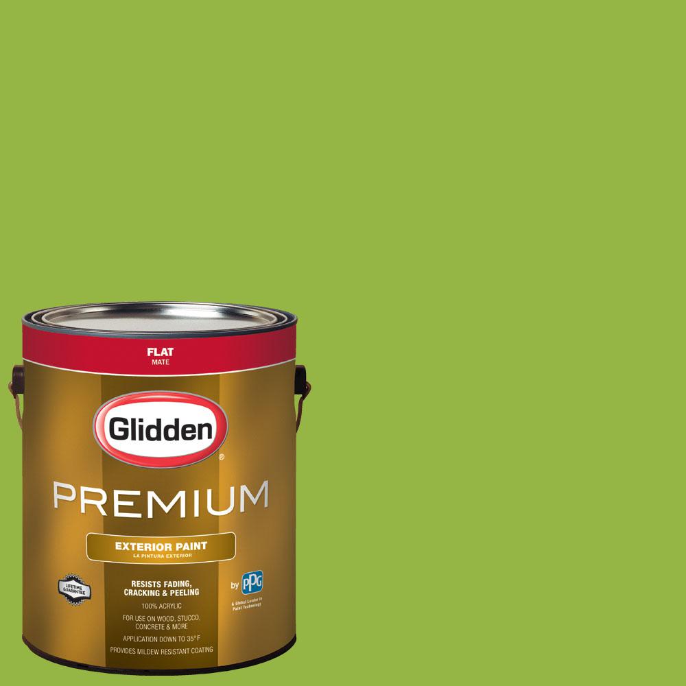 Glidden Premium 1 Gal Nfl 120g Seattle Seahawks Light Green Flat Nfl 120g Seattle Seahawks Light Green Flat Exterior Paint