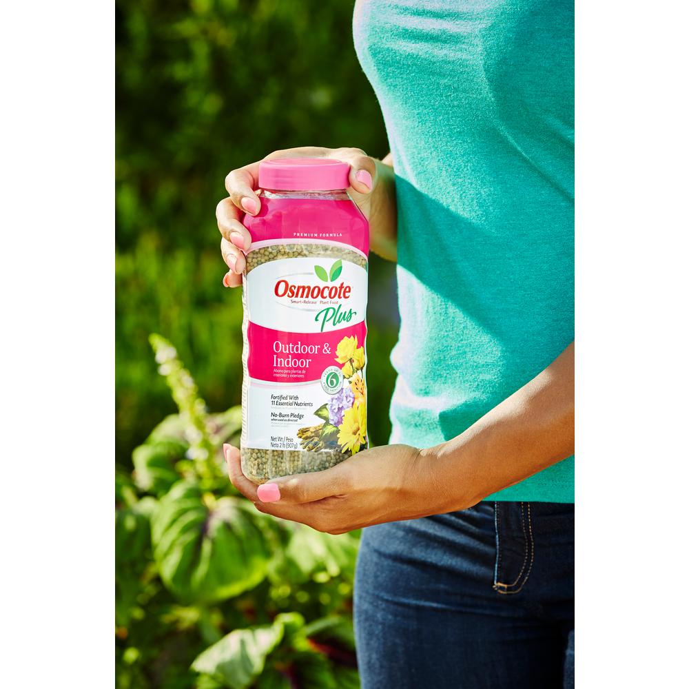 ALL PURPOSE PLANT FOOD 2 LBS Dry Potted Plants Fertilizer