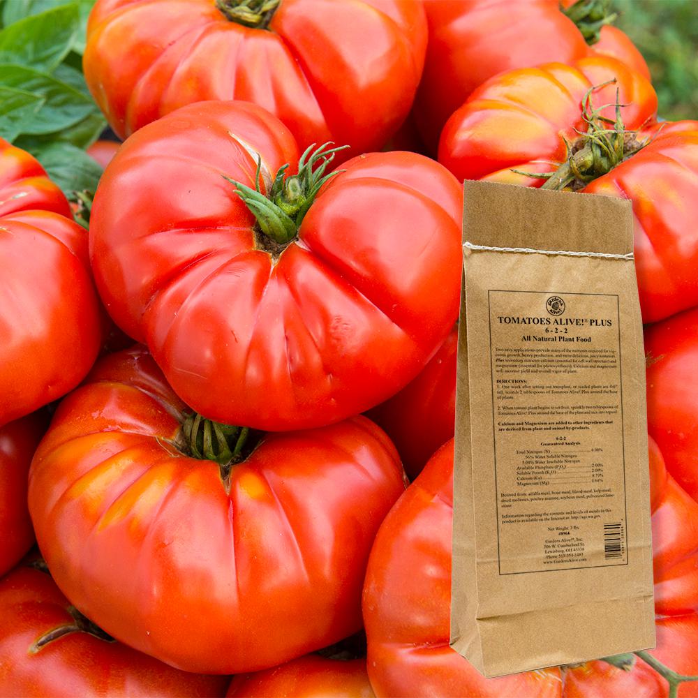Tomatoes Alive! 3 lbs. Tomatoes Alive Plus Fertilizer by Tomatoes Alive!