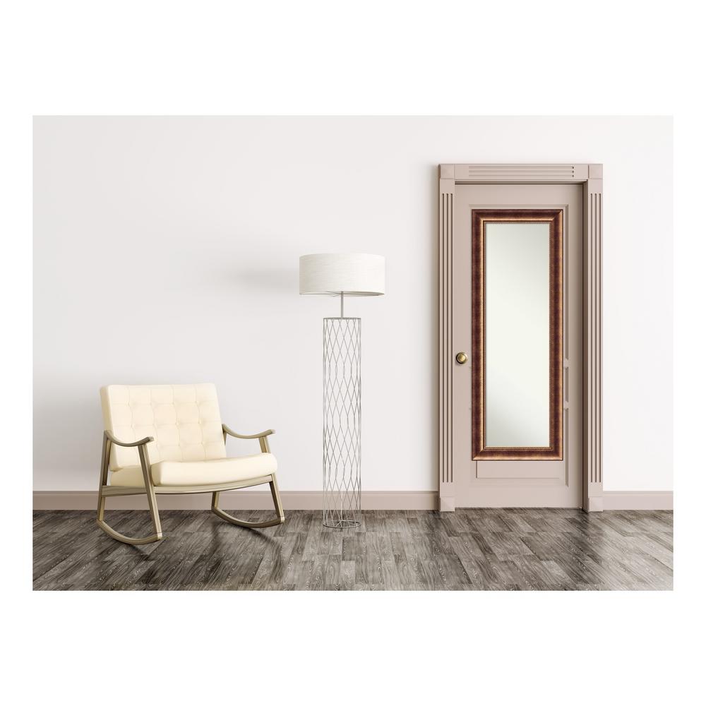 Amanti Art Manhattan Bronze Wood 20 In W X 54 In H On The Door