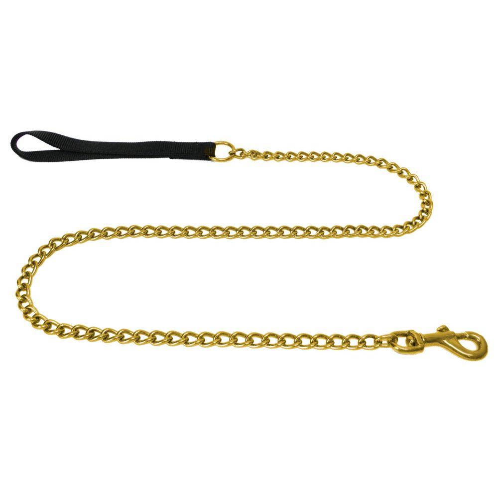 gold chain leash