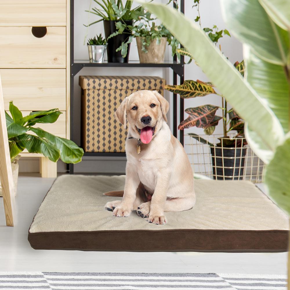 home depot pet beds