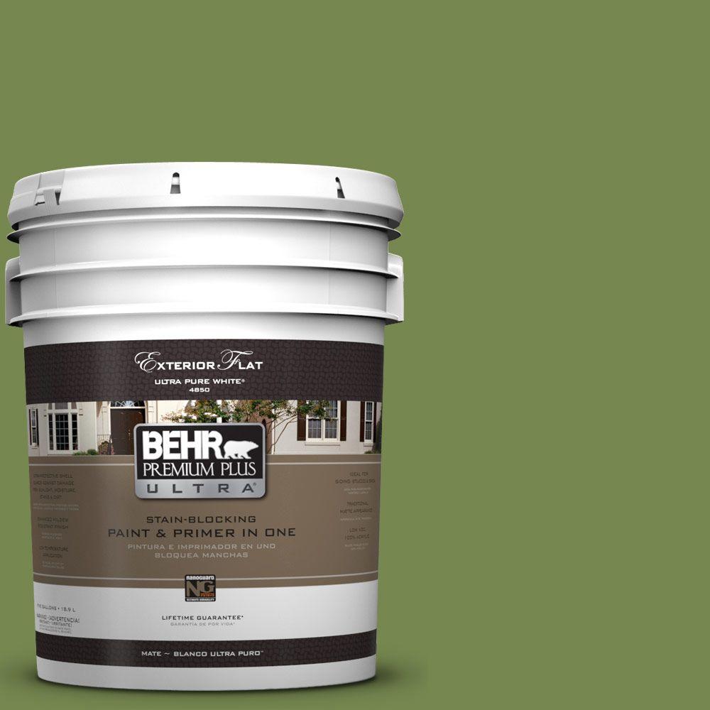 Behr Premium Plus Ultra Gal Hdc Sm Green Suede Flat Exterior