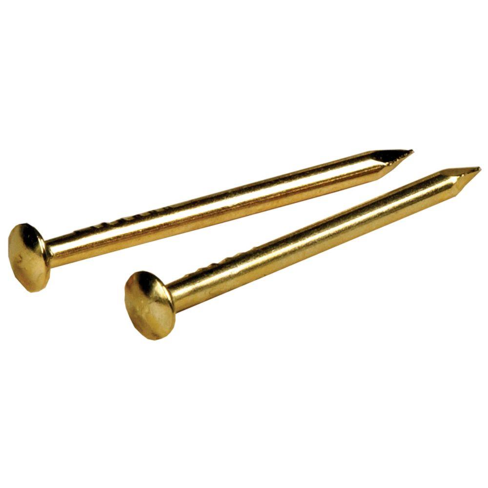 The Hillman Group 3/4 in. x 16 Brass Plated Escutcheon Pins (6Pack