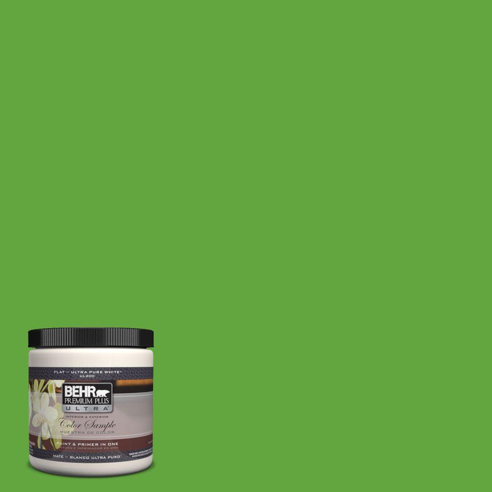 Behr Premium Plus Ultra 8 Oz 430b 6 Caterpillar Matte Interior 430b 6 Caterpillar Matte Interior Exterior Paint And Primer In One Sample