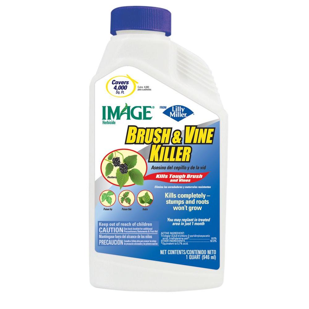 IMAGE 32 oz. Concentrate Brush and Vine Killer100099398 The Home Depot