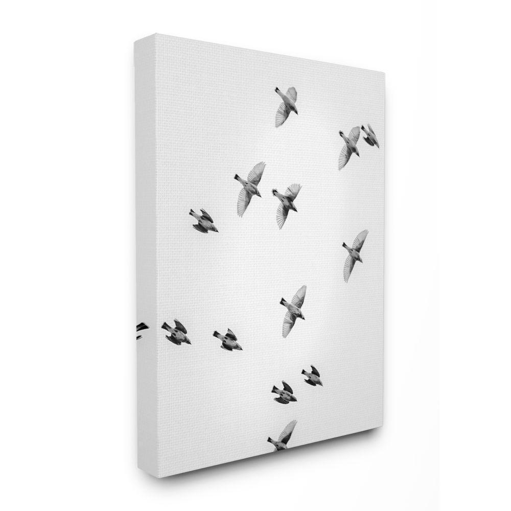 The Stupell Home Decor Collection 24 In X 30 In Birds In Flight Black And White Photography By Design Fabrikken Canvas Wall Art Pap 111 Cn 24x30 The Home Depot About 10% of these are other home decor. the stupell home decor collection 24 in x 30 in birds in flight black and white photography by design fabrikken canvas wall art pap 111 cn 24x30