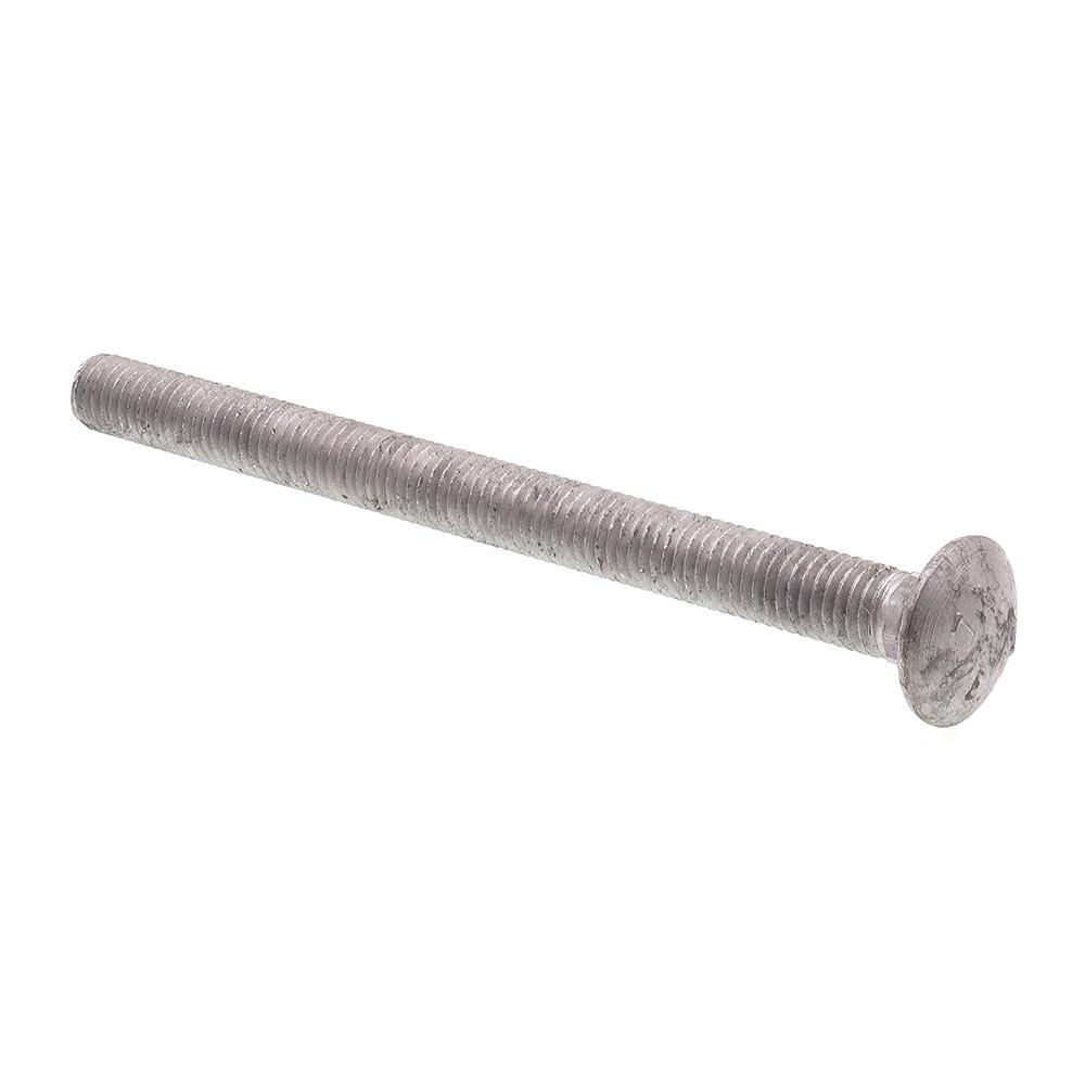 61/2 in Carriage Bolts Bolts The Home Depot