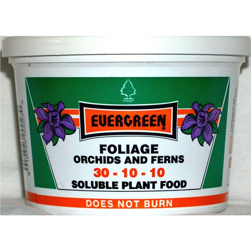 Evergreen Foliage Orchids and Ferns 0.5 lb. Plant Food301010/.5