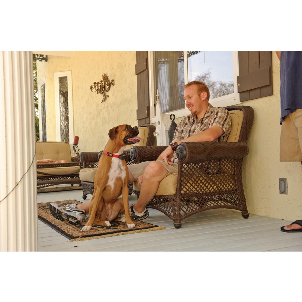 home depot bark collar