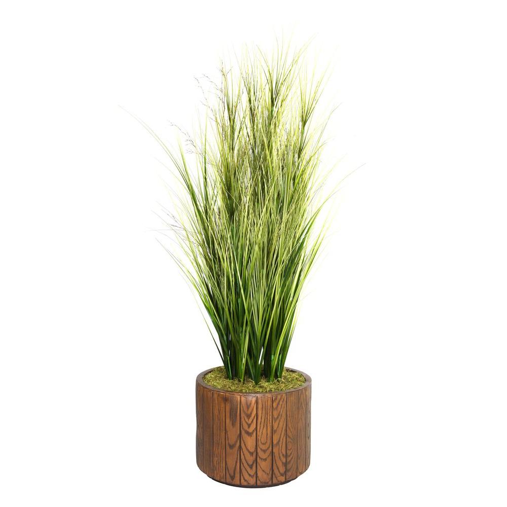 Laura Ashley 66 in. Tall Onion Grass with Cattails in 16 in. Fiberstone
