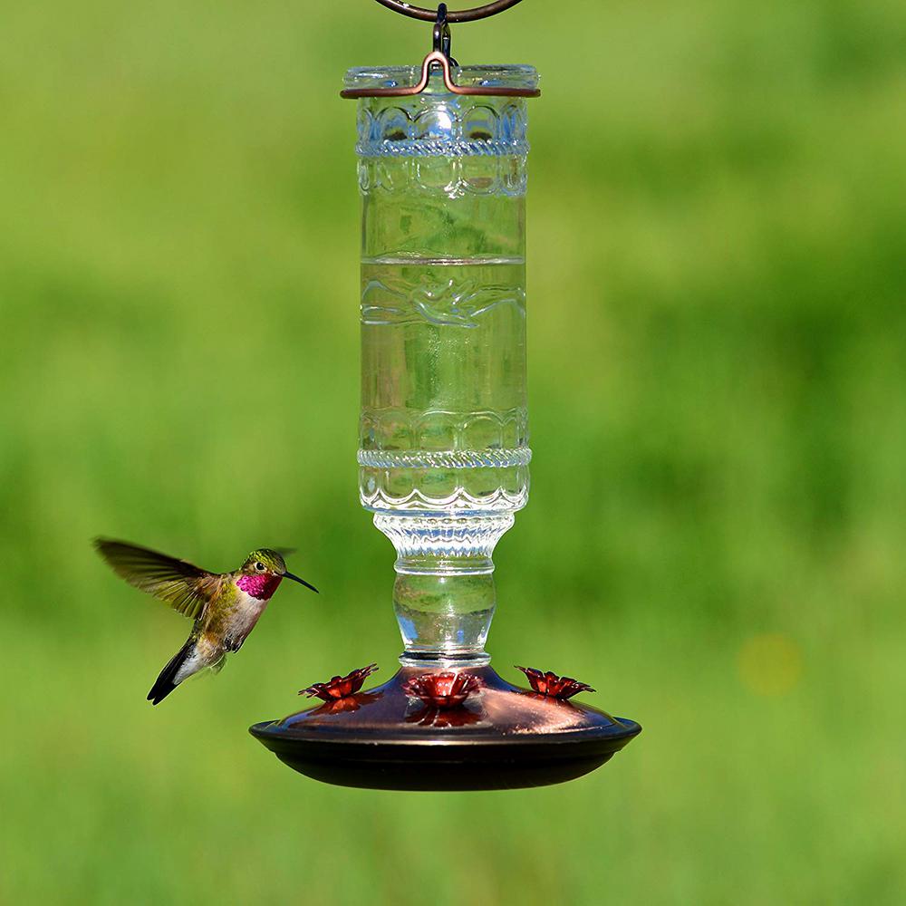 Perky Pet Clear Antique Bottle Decorative Glass Hummingbird Feeder