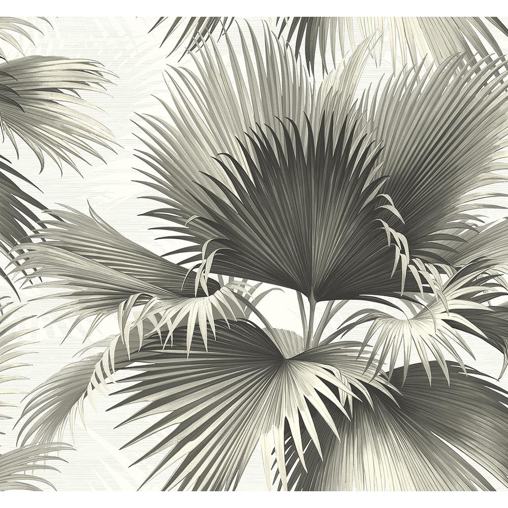 black and white palm wallpaper
