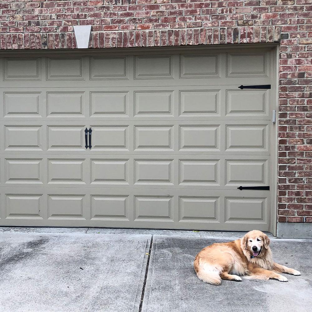 garage dog gate