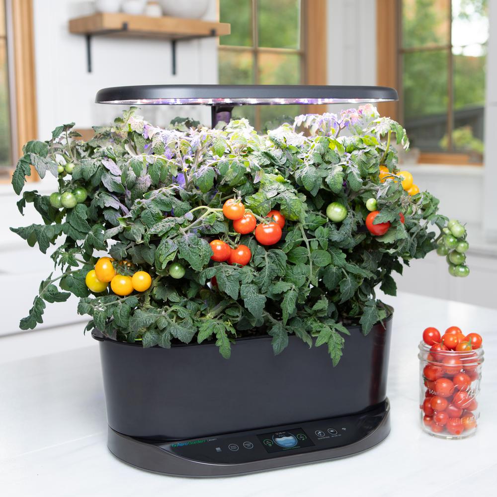 Aerogarden Bounty Black In Home Garden With Gourmet Herb Seed